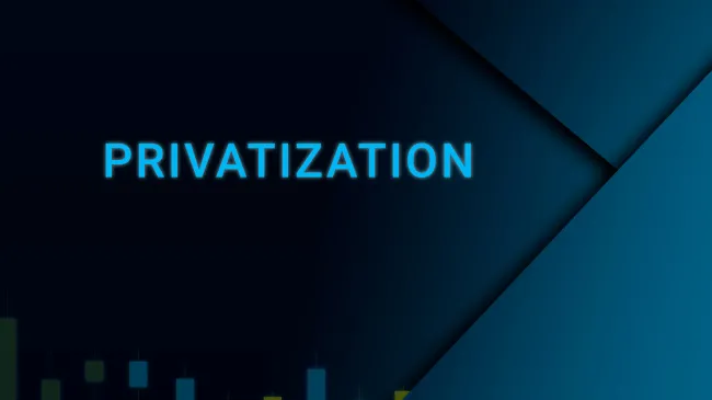 Privatization